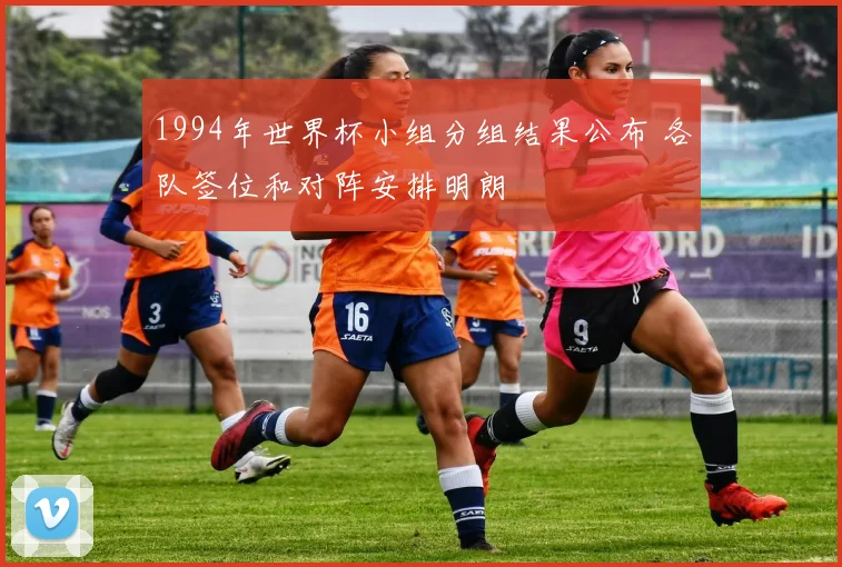 1994年世界杯小组分组结果公布 各队签位和对阵安排明朗