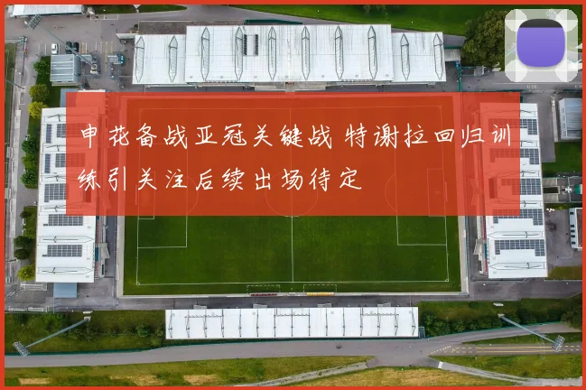 申花备战亚冠关键战 特谢拉回归训练引关注后续出场待定