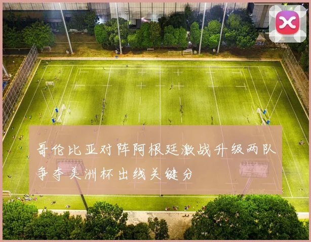 哥伦比亚对阵阿根廷激战升级两队争夺美洲杯出线关键分