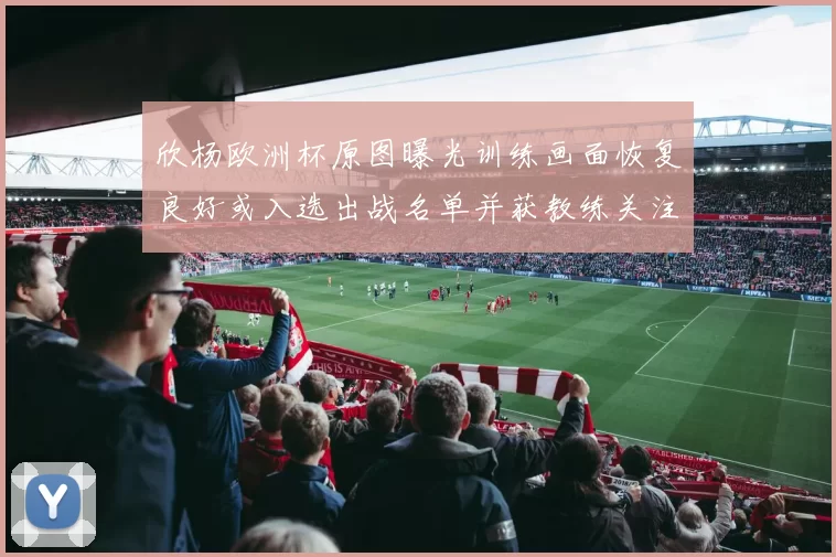 欣杨欧洲杯原图曝光训练画面恢复良好或入选出战名单并获教练关注