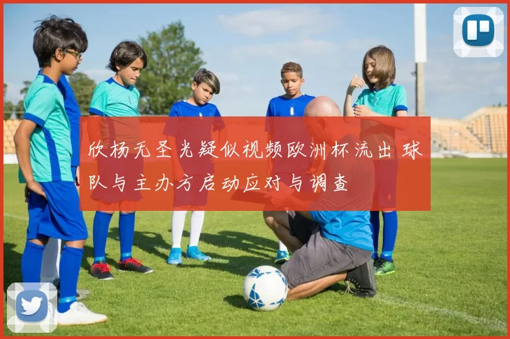 欣杨无圣光疑似视频欧洲杯流出 球队与主办方启动应对与调查