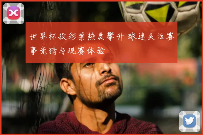 世界杯投彩票热度攀升 球迷关注赛事竞猜与观赛体验