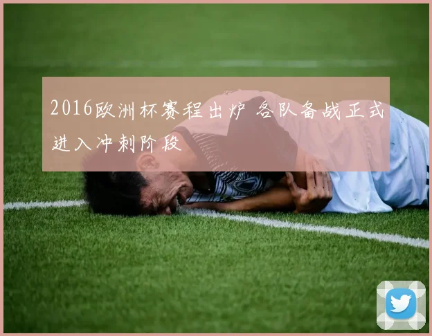 2016欧洲杯赛程出炉 各队备战正式进入冲刺阶段