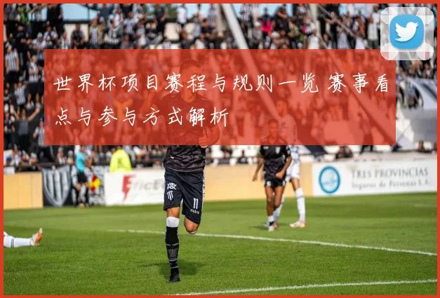 世界杯项目赛程与规则一览 赛事看点与参与方式解析