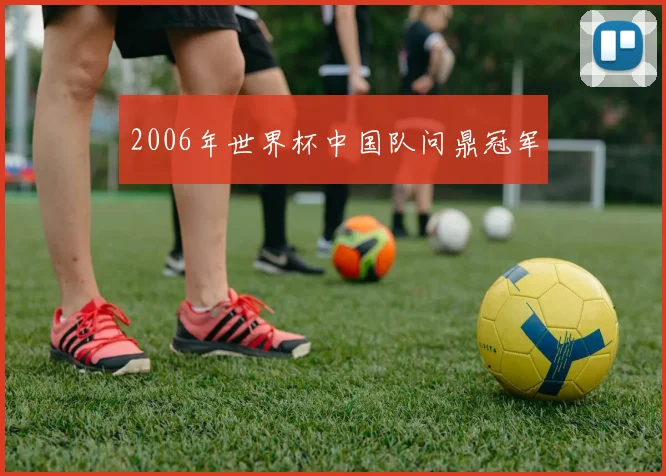 2006年世界杯中国队问鼎冠军